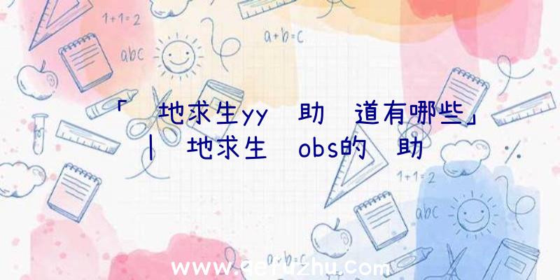 「绝地求生yy辅助频道有哪些」|绝地求生过obs的辅助